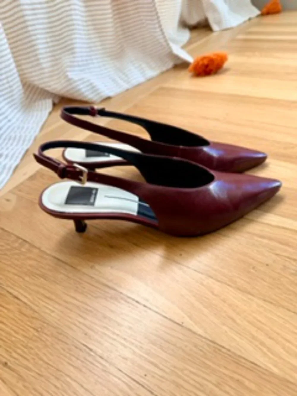 Brand new in box Dolce Vita slingbacks